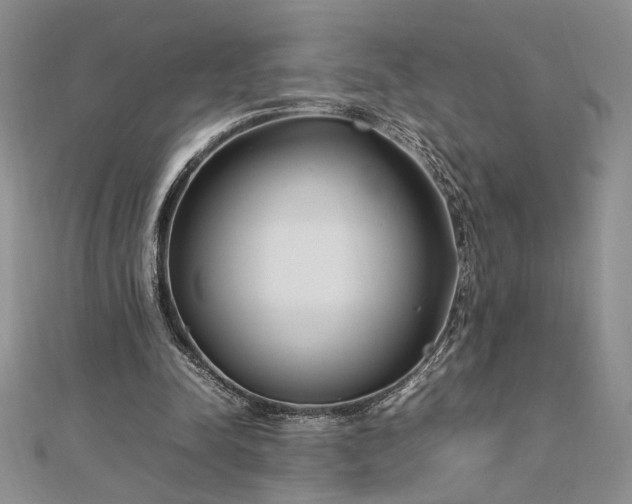 X0000112790342200909041416