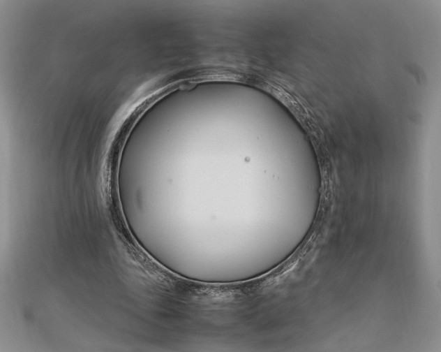 X0000112790343200909041416