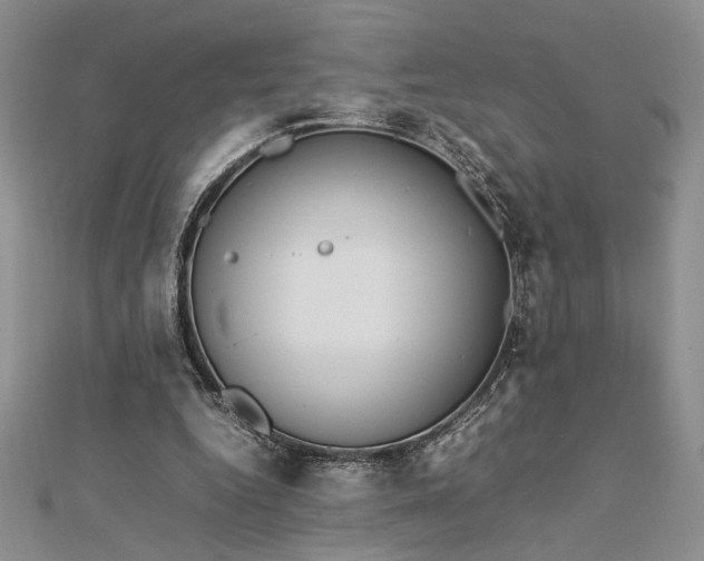 X0000112790344200909041416