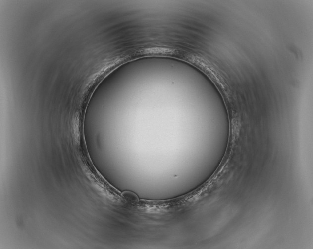 X0000112790345200909041416