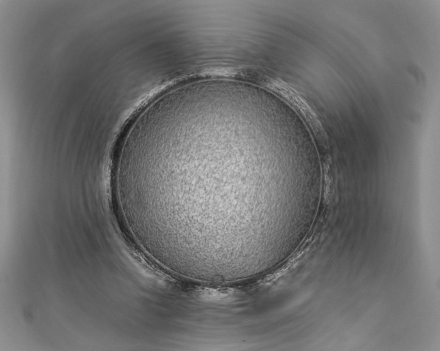 X0000112790346200909041416