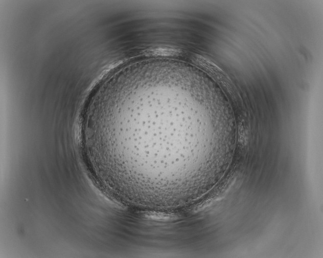 X0000112790347200909041416