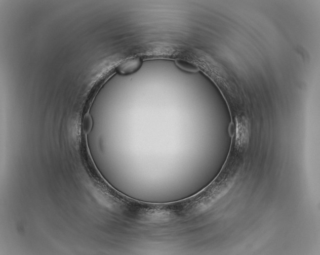 X0000112790348200909041416