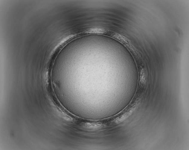 X0000112790351200909041416