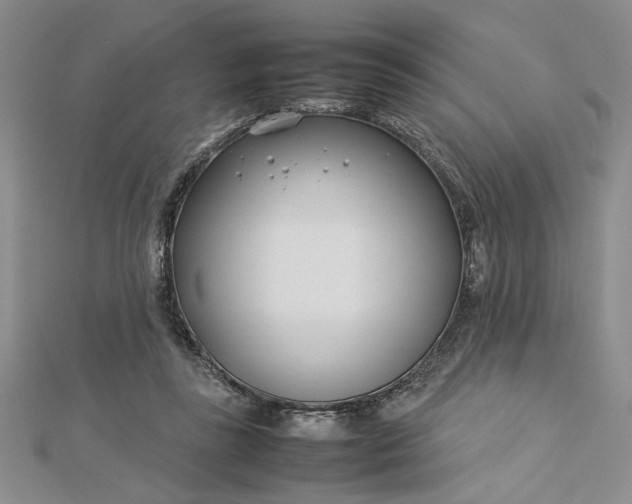 X0000112790355200909041416