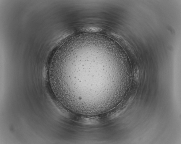 X0000112790359200909041416