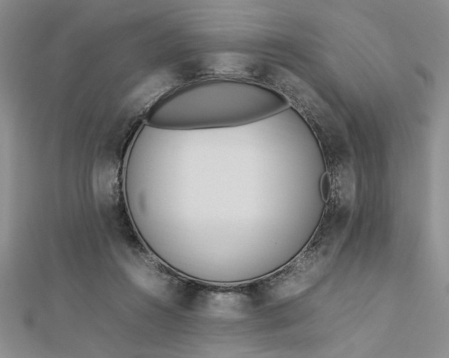 X0000112790360200909041416