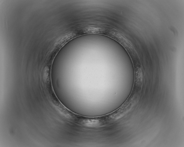 X0000112790361200909041416