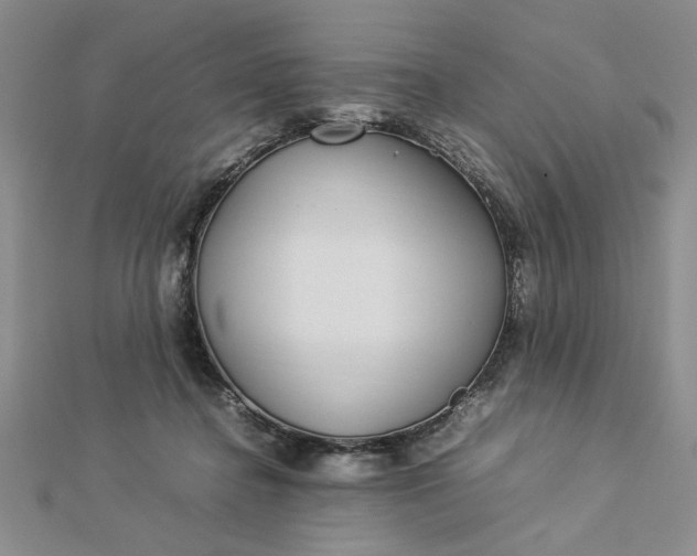 X0000112790364200909041417