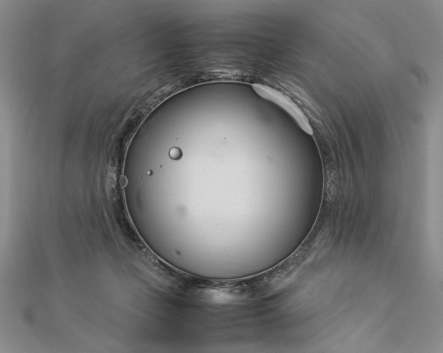 X0000112790365200909041417