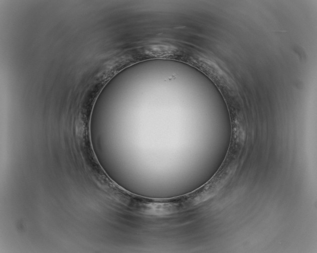 X0000112790371200909041417