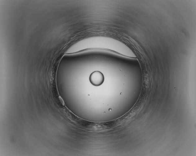 X0000112790372200909041417