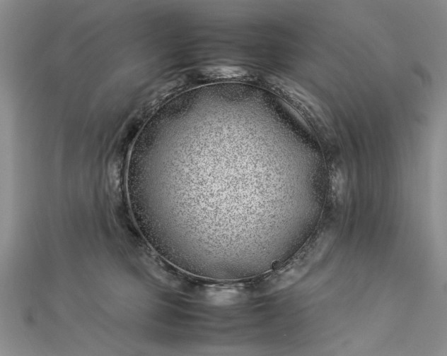 X0000112790373200909041417