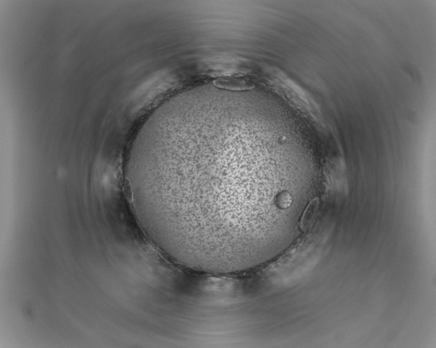 X0000112790376200909041417