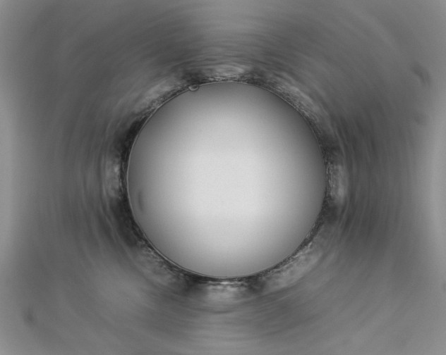 X0000112790378200909041417