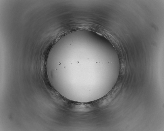 X0000112790379200909041417