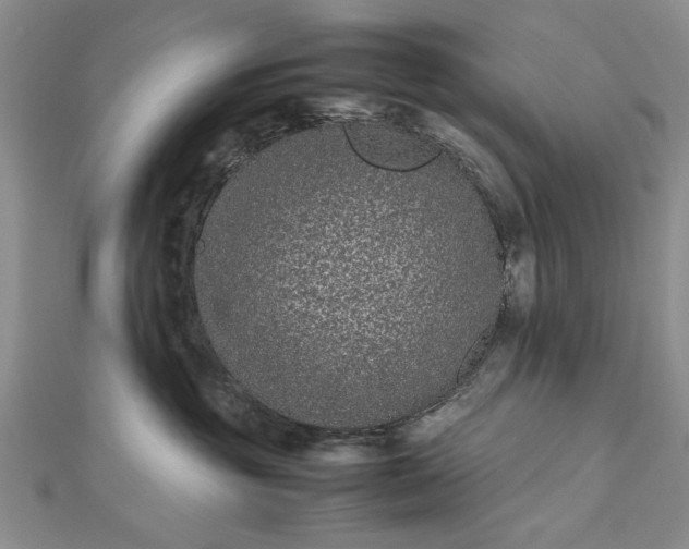 X0000112790381200909041417