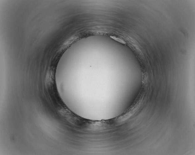 X0000112790382200909041417