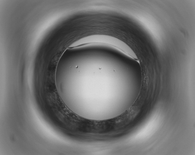 X0000112790383200909041417