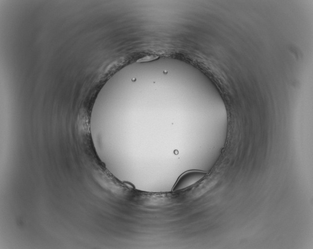 X0000112790384200909041417