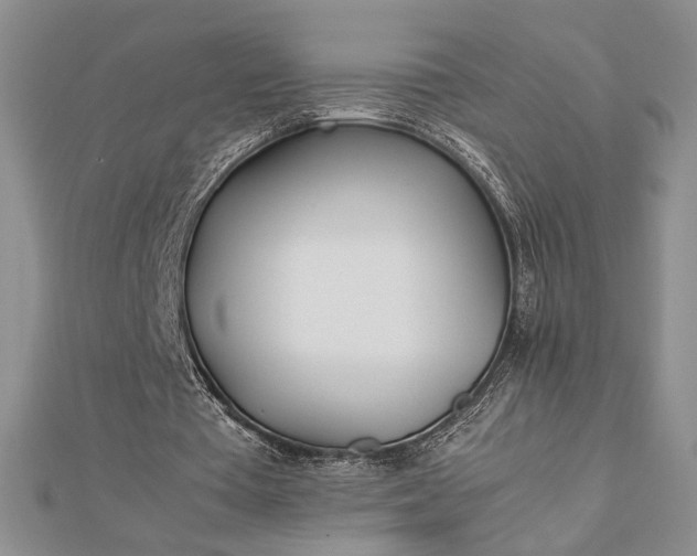 X0000112790385200909041416