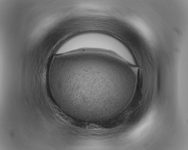 X0000112790387200909041416