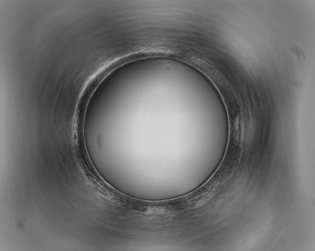 X0000112790388200909041416