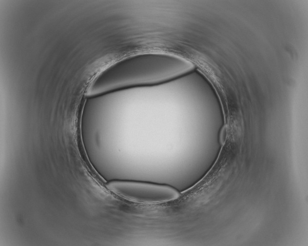 X0000112790389200909041416