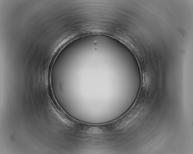 X0000112790390200909041416