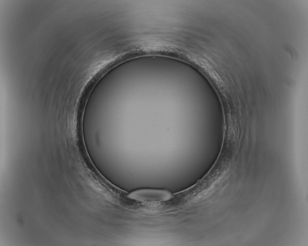 X0000112790391200909041416