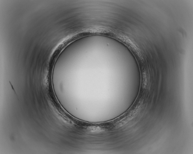 X0000112790392200909041416