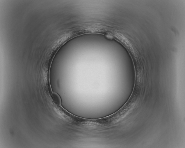 X0000112790393200909041416