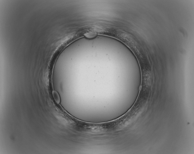 X0000112790395200909041416