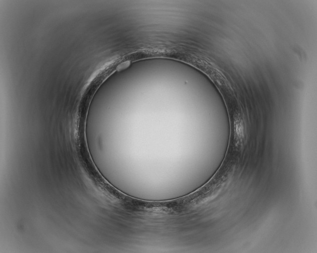 X0000112790396200909041416