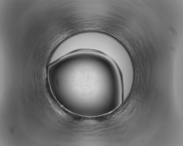 X0000112790397200909041416