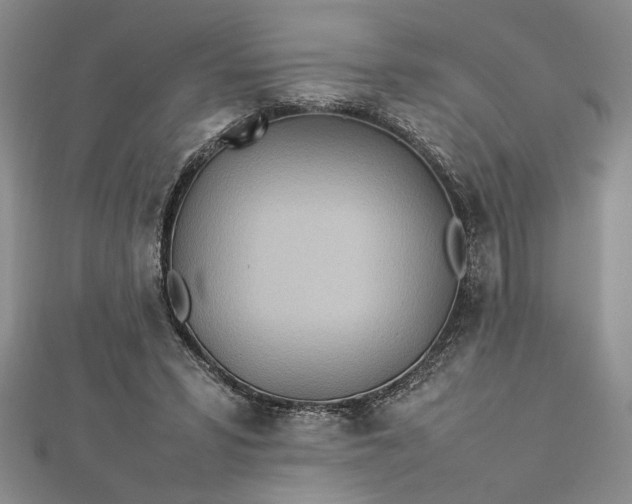 X0000112790399200909041416