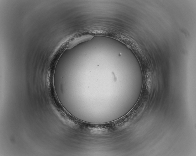 X0000112790400200909041416