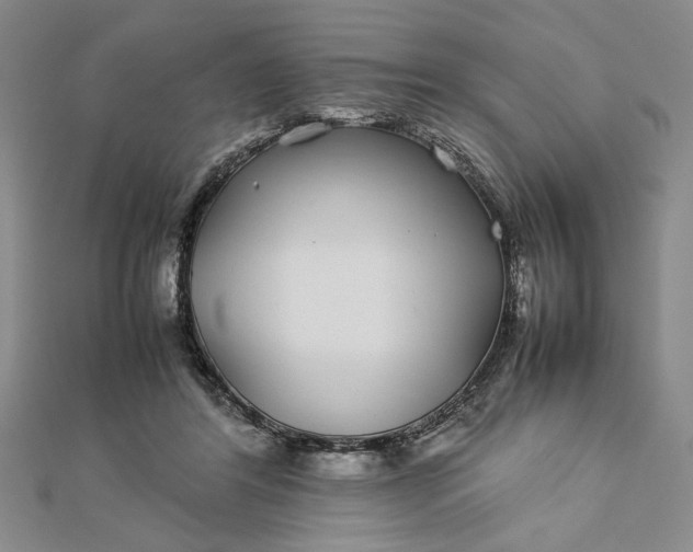 X0000112790404200909041416