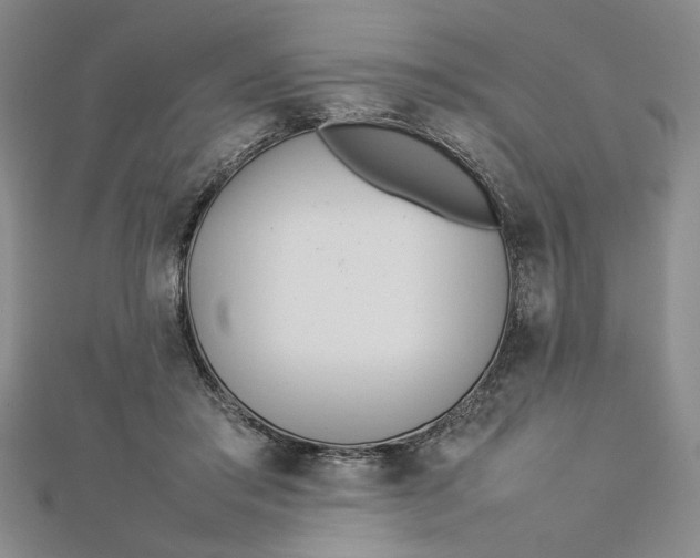 X0000112790405200909041416