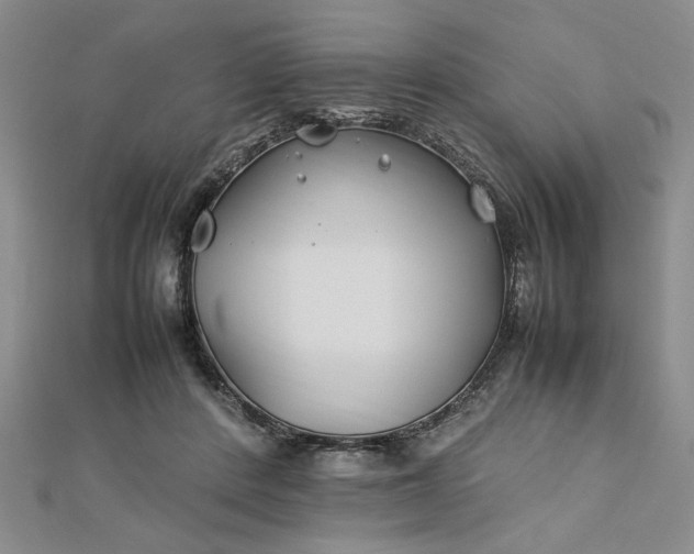 X0000112790408200909041416