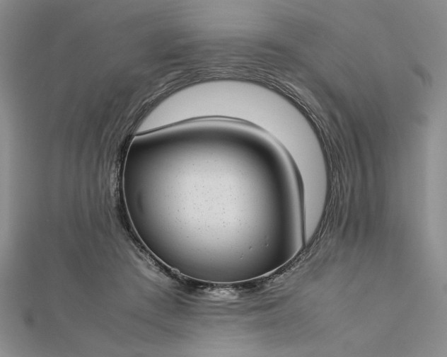 X0000112790409200909041416