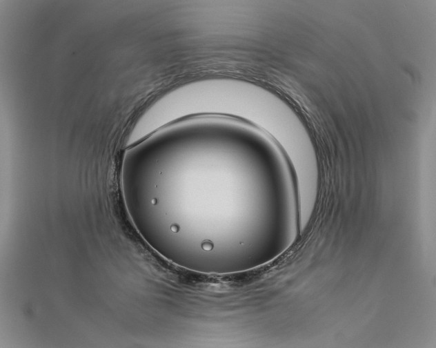 X0000112790411200909041416