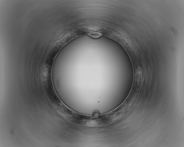 X0000112790412200909041416