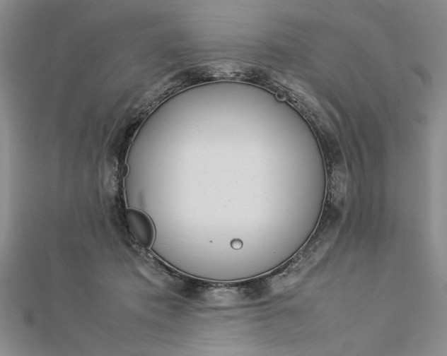 X0000112790413200909041416