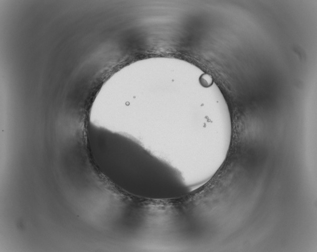 X0000112790415200909041416