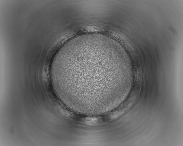 X0000112790418200909041416