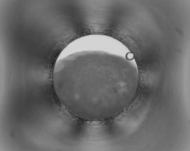 X0000112790419200909041416