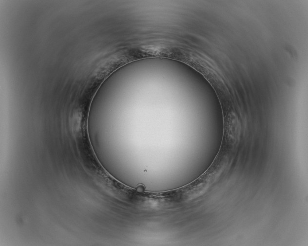 X0000112790420200909041416