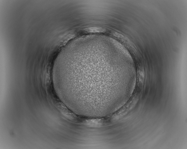 X0000112790422200909041416