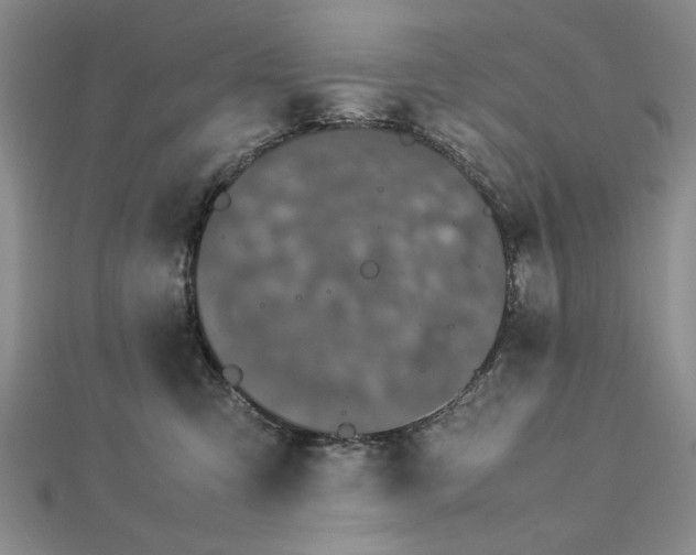 X0000112790423200909041416